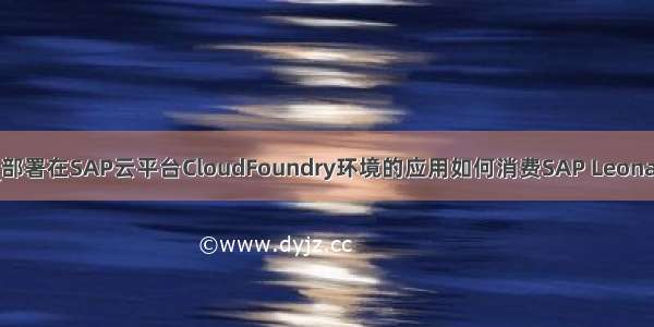 调用sap函数接口_部署在SAP云平台CloudFoundry环境的应用如何消费SAP Leonardo机器学习API...