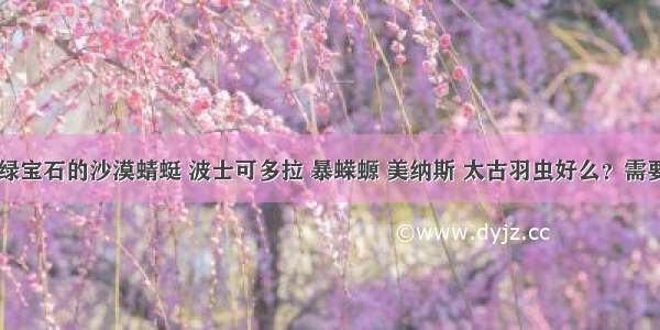 口袋妖怪绿宝石的沙漠蜻蜓 波士可多拉 暴蝾螈 美纳斯 太古羽虫好么？需要练么？配