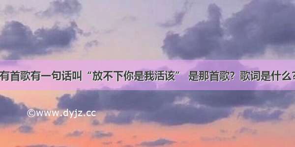 有首歌有一句话叫“放不下你是我活该” 是那首歌？歌词是什么？