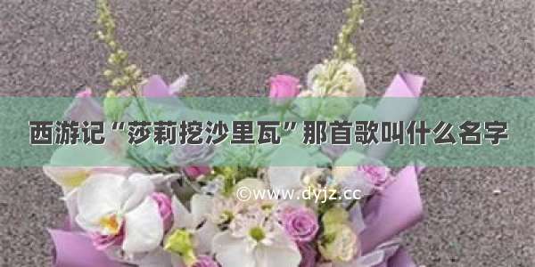 西游记“莎莉挖沙里瓦”那首歌叫什么名字