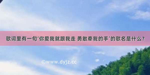 歌词里有一句‘你爱我就跟我走 勇敢牵我的手’的歌名是什么？