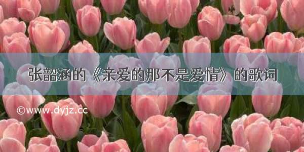张韶涵的《亲爱的那不是爱情》的歌词