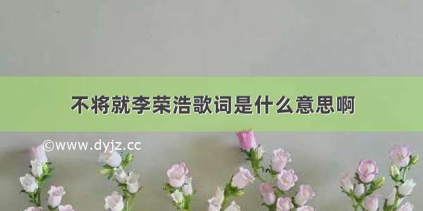 不将就李荣浩歌词是什么意思啊