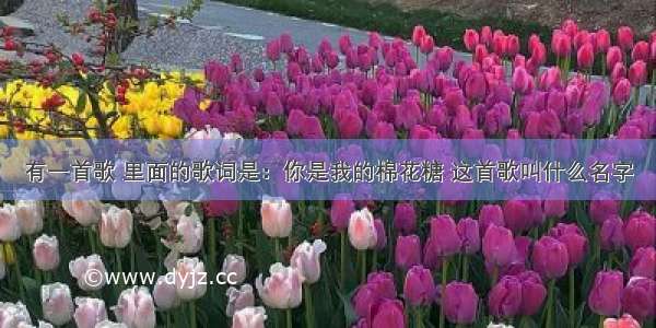 有一首歌 里面的歌词是：你是我的棉花糖 这首歌叫什么名字