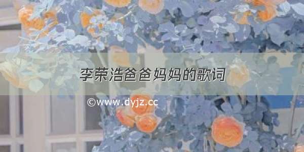 李荣浩爸爸妈妈的歌词