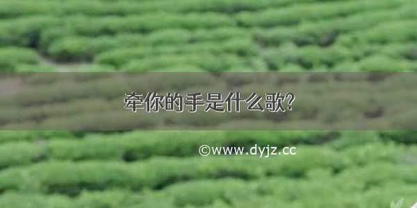 牵你的手是什么歌?