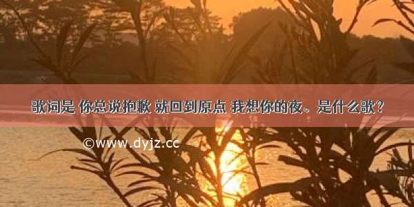 歌词是 你总说抱歉 就回到原点 我想你的夜。是什么歌？