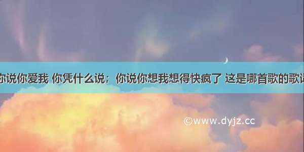 你说你爱我 你凭什么说；你说你想我想得快疯了 这是哪首歌的歌词