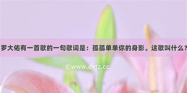 罗大佑有一首歌的一句歌词是：孤孤单单你的身影。这歌叫什么？