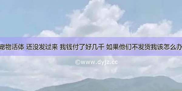 在淘宝买宠物活体 还没发过来 我钱付了好几千 如果他们不发货我该怎么办 不可能白