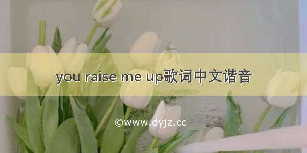 you raise me up歌词中文谐音