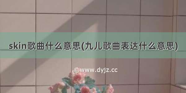 skin歌曲什么意思(九儿歌曲表达什么意思)