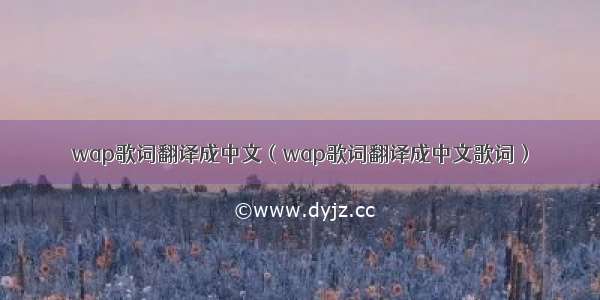 wap歌词翻译成中文（wap歌词翻译成中文歌词）