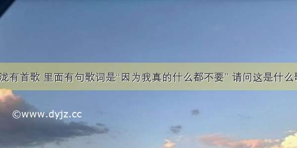 汪苏泷有首歌 里面有句歌词是“因为我真的什么都不要” 请问这是什么歌啊？