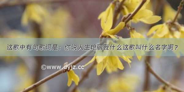 这歌中有句歌词是：你说人生艳丽我什么这歌叫什么名字啊？