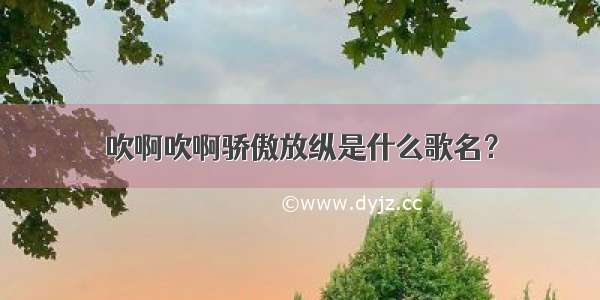 吹啊吹啊骄傲放纵是什么歌名？