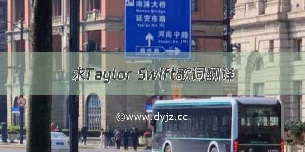 求Taylor Swift歌词翻译