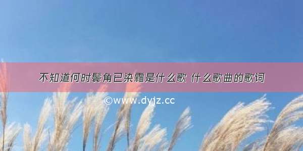 不知道何时鬓角已染霜是什么歌 什么歌曲的歌词