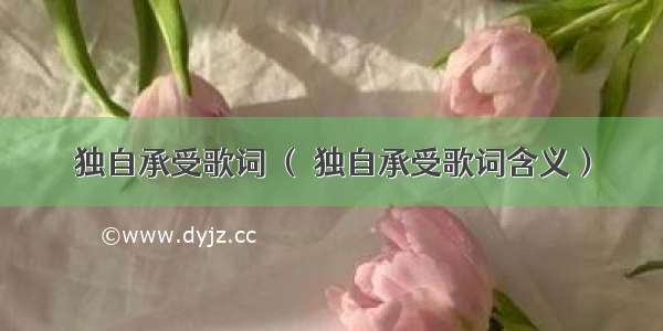 独自承受歌词 （ 独自承受歌词含义）