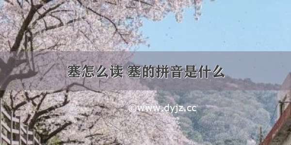 塞怎么读 塞的拼音是什么