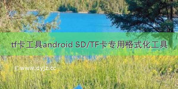 tf卡工具android SD/TF卡专用格式化工具