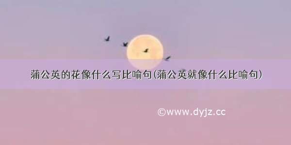 蒲公英的花像什么写比喻句(蒲公英就像什么比喻句)