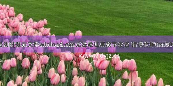 Windows7电脑启动时提示文件winload.exe无法验证其数字签名 错误代码0xc0000428的解决方法