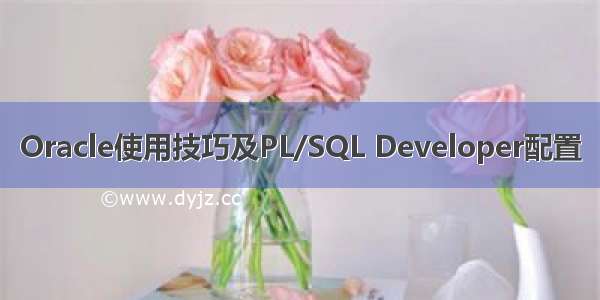 Oracle使用技巧及PL/SQL Developer配置