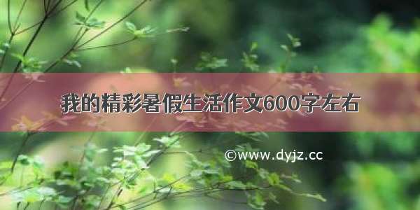 我的精彩暑假生活作文600字左右