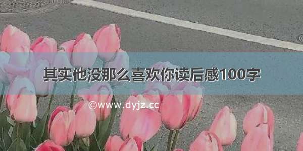 其实他没那么喜欢你读后感100字