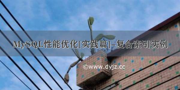 MySQL性能优化[实践篇]-复合索引实例