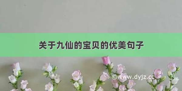 关于九仙的宝贝的优美句子