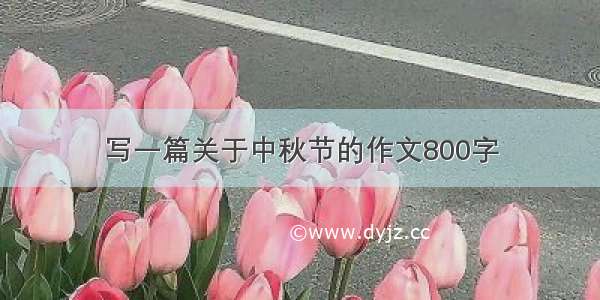 写一篇关于中秋节的作文800字