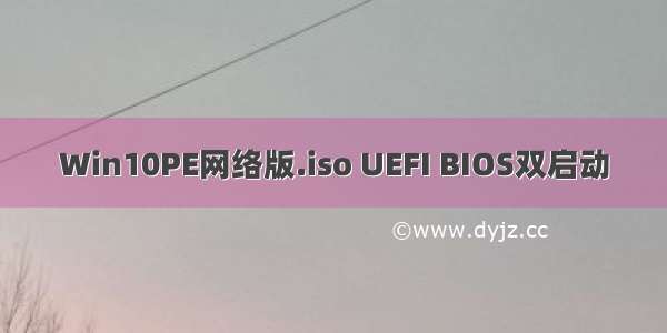 Win10PE网络版.iso UEFI BIOS双启动