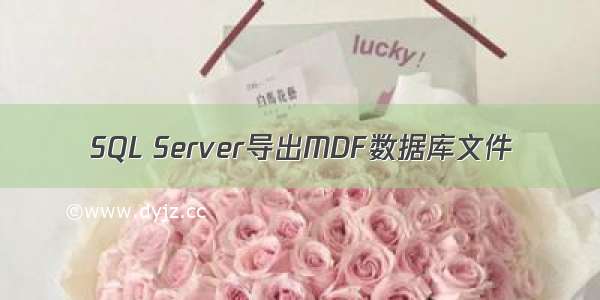 SQL Server导出MDF数据库文件