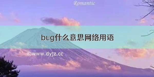 bug什么意思网络用语