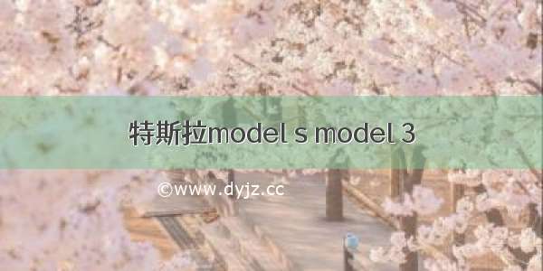 特斯拉model s model 3