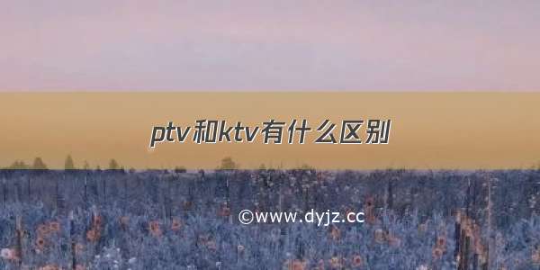 ptv和ktv有什么区别