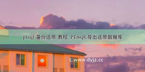 plsql 备份还原 教程_PLSQL导出还原数据库