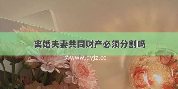 离婚夫妻共同财产必须分割吗