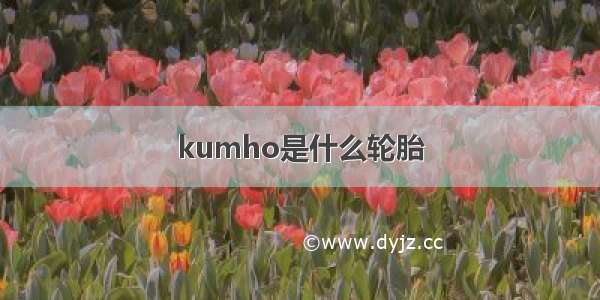 kumho是什么轮胎