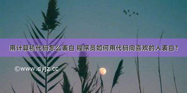 用计算机代码怎么表白 程序员如何用代码向喜欢的人表白？