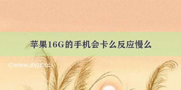 苹果16G的手机会卡么反应慢么