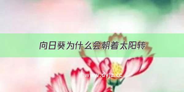 向日葵为什么会朝着太阳转