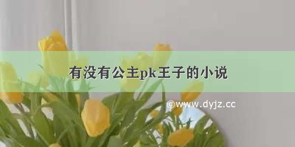 有没有公主pk王子的小说