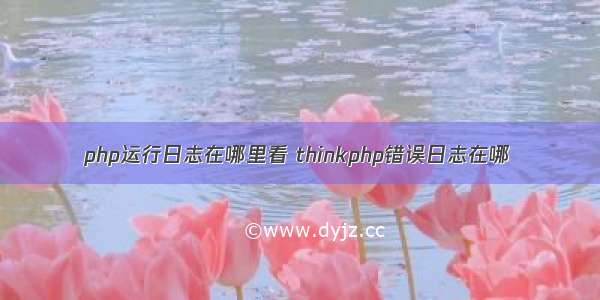 php运行日志在哪里看 thinkphp错误日志在哪