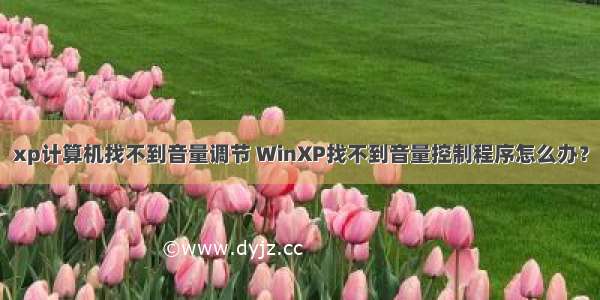 xp计算机找不到音量调节 WinXP找不到音量控制程序怎么办？