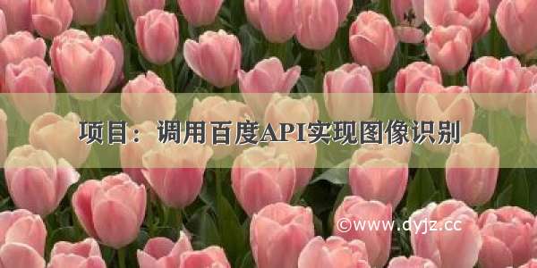 项目：调用百度API实现图像识别