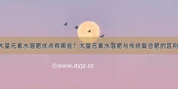 大量元素水溶肥优点有哪些？大量元素水溶肥与传统复合肥的区别！