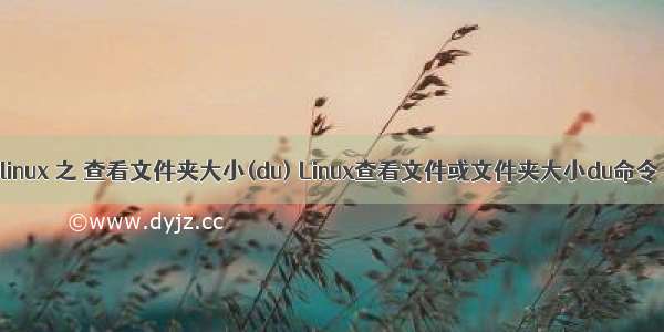 linux 之 查看文件夹大小(du) Linux查看文件或文件夹大小du命令